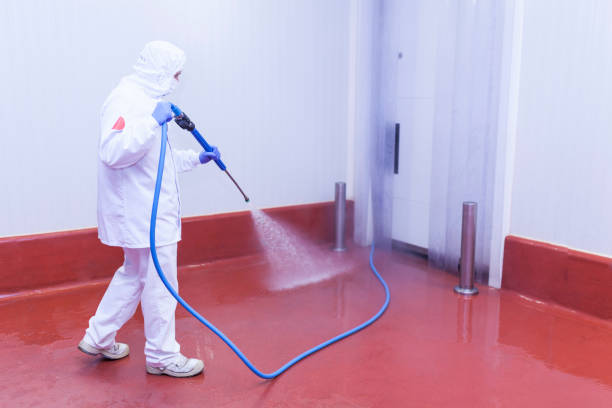 Best Rust Removal  in Piedmont, CA